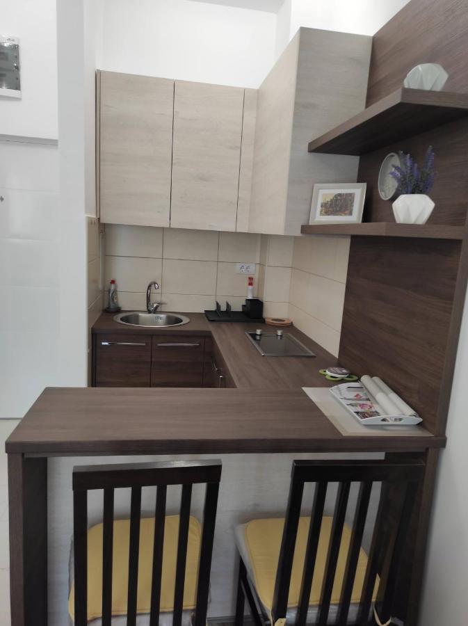 Studio Apartman Dani Banja Koviljača Kültér fotó
