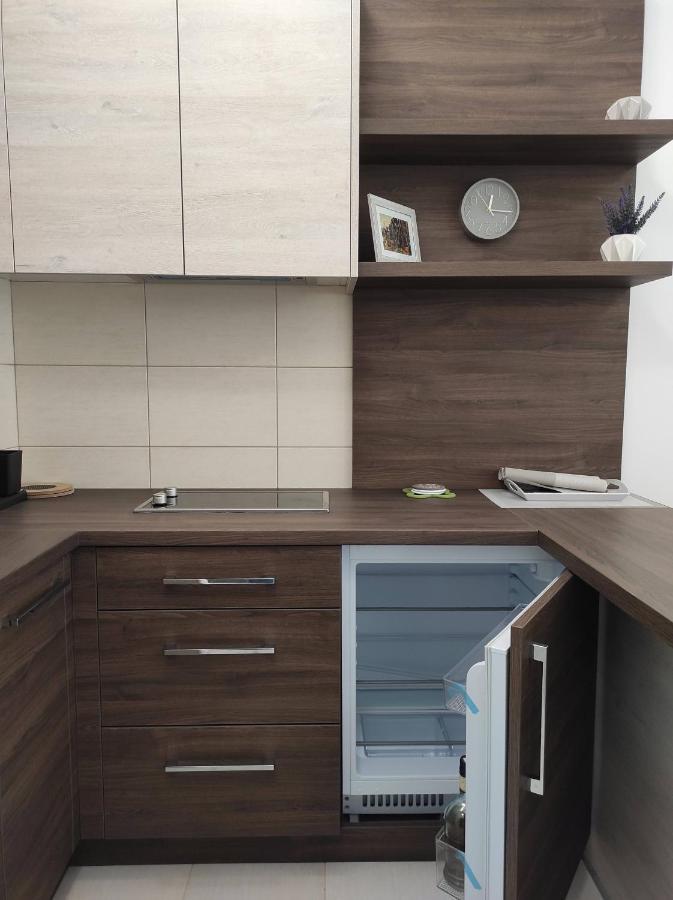 Studio Apartman Dani Banja Koviljača Kültér fotó