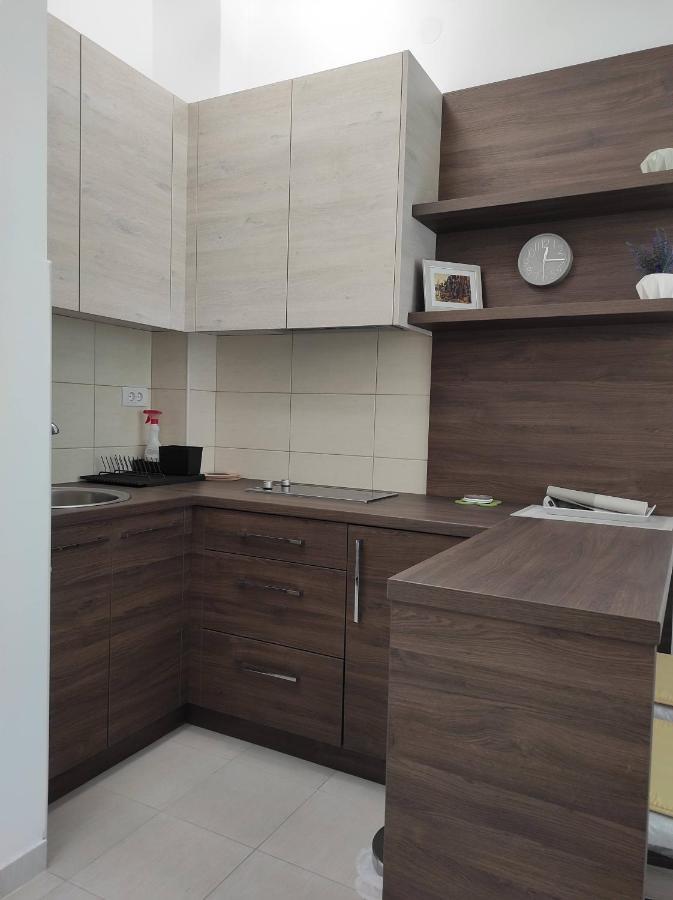 Studio Apartman Dani Banja Koviljača Kültér fotó